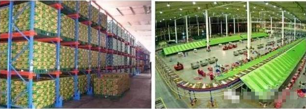 電商物流VS傳統(tǒng)物流，誰更勝一籌？